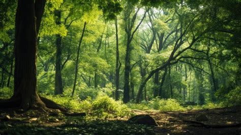 Cavaliers explorant une forêt luxuriante