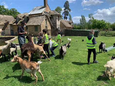 Ferme pédagogique avec animaux