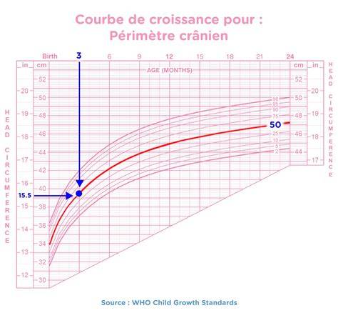 Diagramme montrant la croissance de la tête d'un enfant