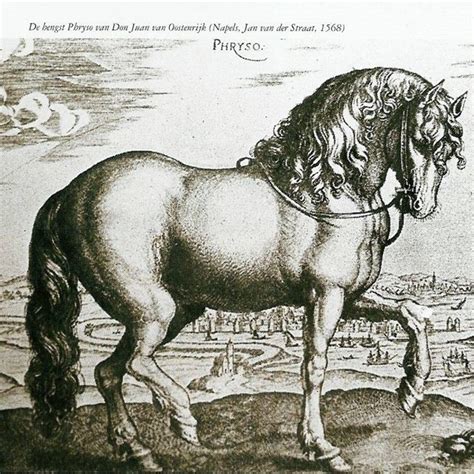 Représentation d'un cheval frison dans un manuscrit médiéval