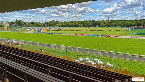Hippodrome avec chevaux au départ