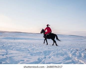 Un cavalier explorant un paysage pittoresque sur un cheval noir