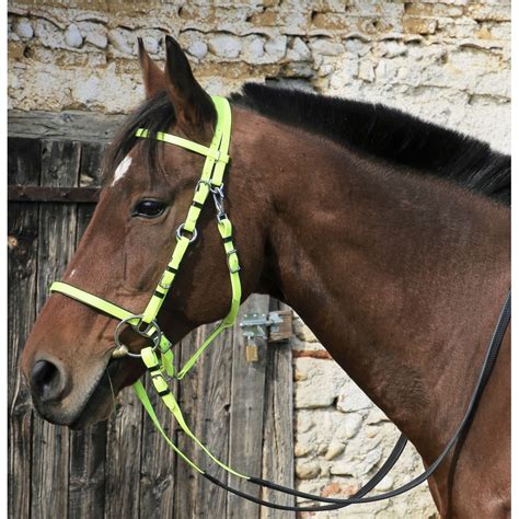Cheval portant un bridon de randonnée