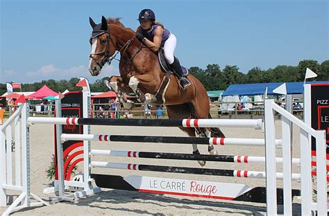 Cheval sautant une combinaison d'obstacles
