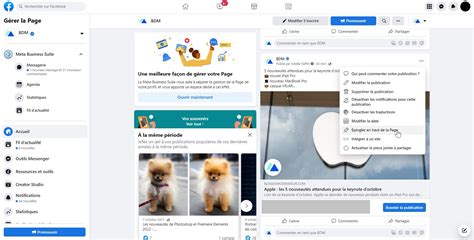 Capture d'écran d'une page Facebook présentant des vidéos de cascades équestres