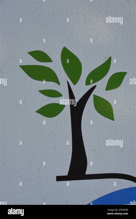 Représentation schématique d'un arbre généalogique équin