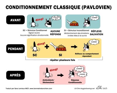 Schéma illustrant le conditionnement classique