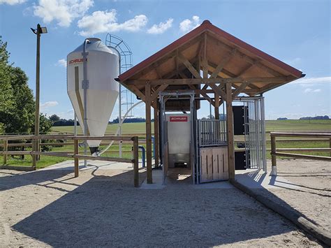 Cheval entrant dans un distributeur automatique de concentrés