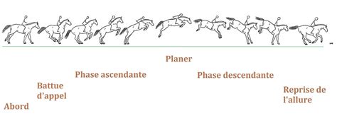 Diagramme montrant les différentes phases du mouvement du dos d'un cheval au galop et comment une selle flexible s'y adapte.