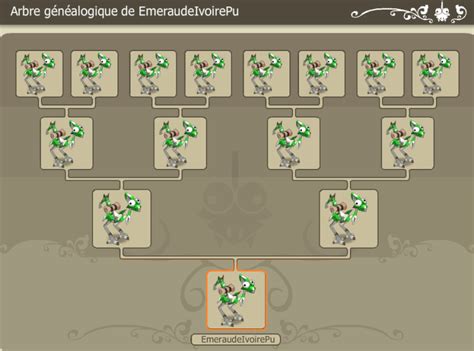Diagramme illustrant la purification d'un arbre généalogique de Dragodindes