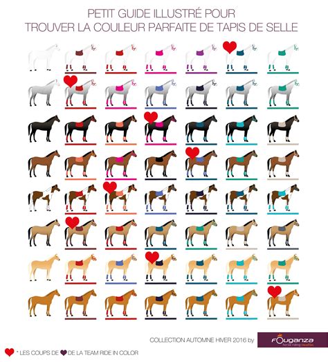 Palette de couleurs de robes de chevaux