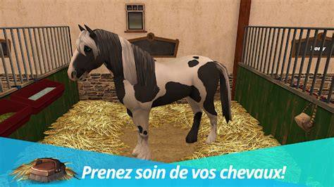 Jeu de simulation de soin de cheval