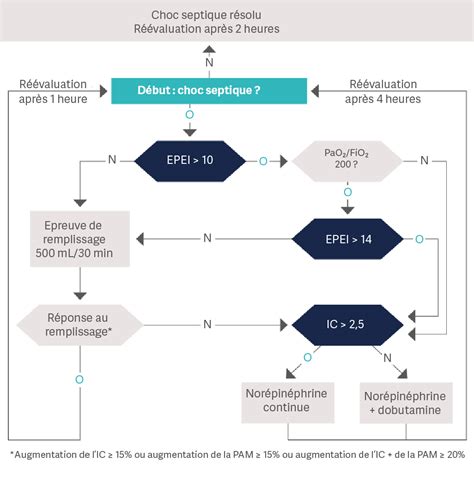Diagramme illustrant la cascade inflammatoire du choc septique
