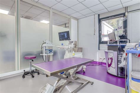Clinique vétérinaire moderne et accueillante