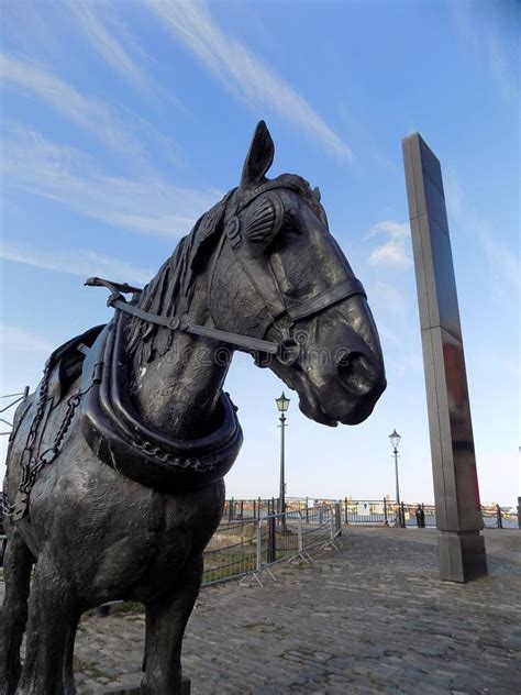 Statue de cheval Shire