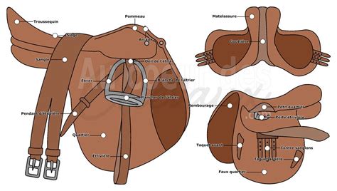 Vue détaillée d'une selle anglaise avec ses contre-sanglons