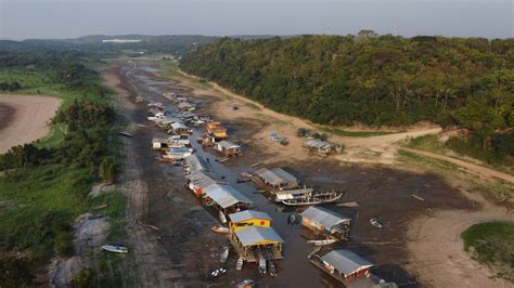 Forêt amazonienne menacée par la déforestation