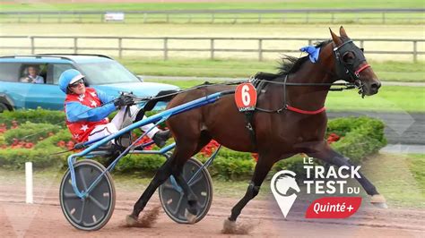 Joker d'Occagnes en pleine course