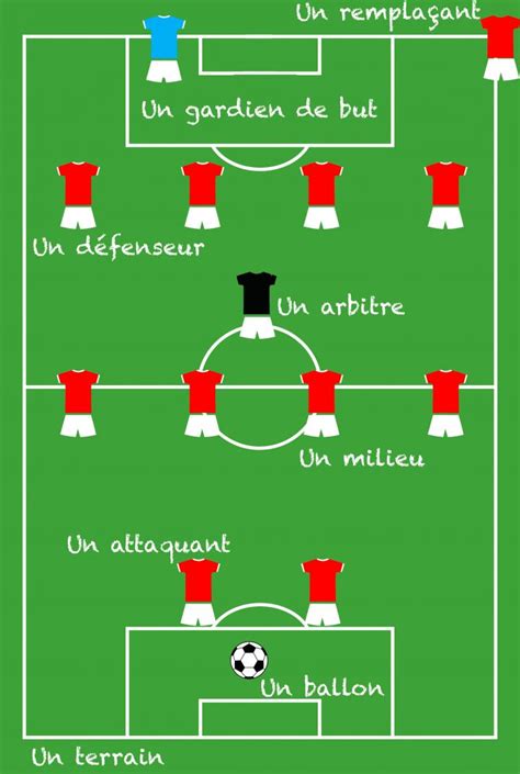 Diagramme des positions des chevaux durant la course