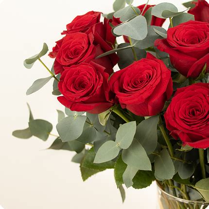 Bouquet de roses rouges équitables