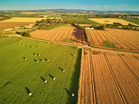 Vue aérienne d'une ferme avec des pâturages verts