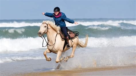 Cheval galopant sur une plage de Newquay