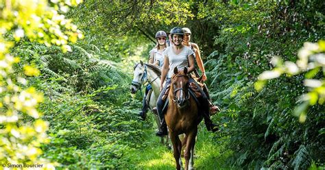 Équipe de randonnée équestre