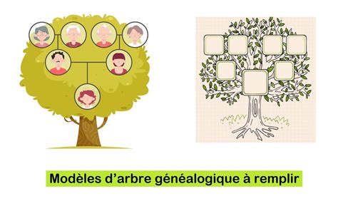 Arbre généalogique schématique d'Iowa.