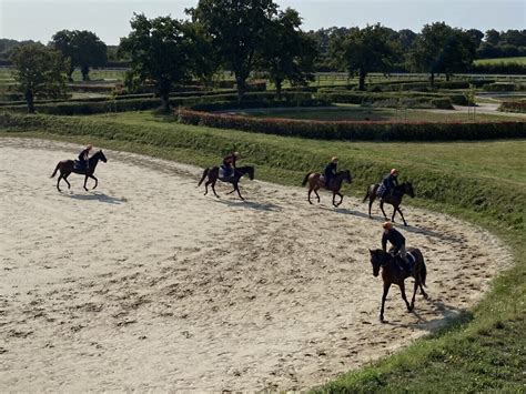 Entraînement de chevaux de course