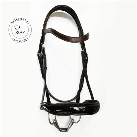 Cheval portant un bridon noir élégant