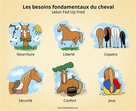 Diagramme illustrant les besoins fondamentaux des chevaux en écurie active