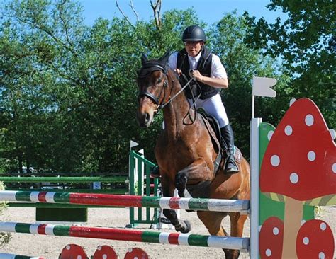 Cavalier de CSO en pleine action