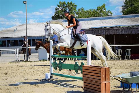 Groupe de cavaliers participant à un stage de saut d'obstacles