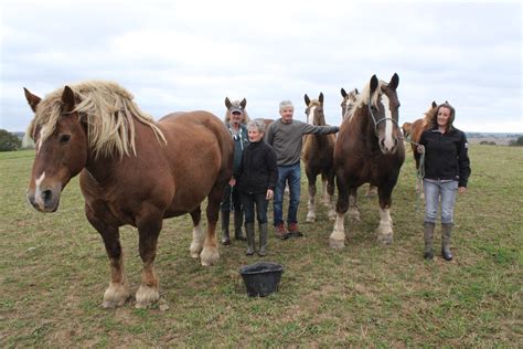 Famille Bronnec avec leurs chevaux de trait