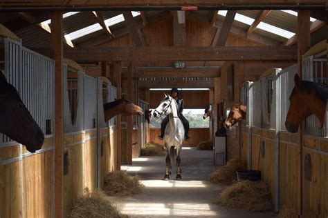 Cheval au travail dans une écurie