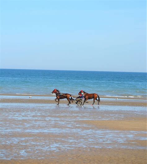 Plage de Cabourg avec des chevaux au trot