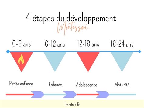 schéma illustrant le développement de l'enfant grâce aux DVD éducatifs