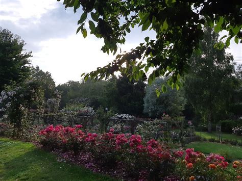 Roseraie de Lassay-les-Châteaux