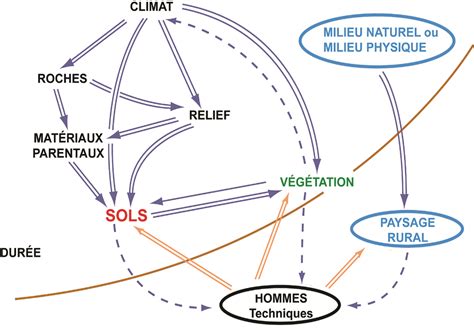 Graphique illustrant les facteurs d'attraction dans les relations