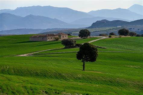 Paysage rural de l'Ain avec des champs verts et une ferme traditionnelle