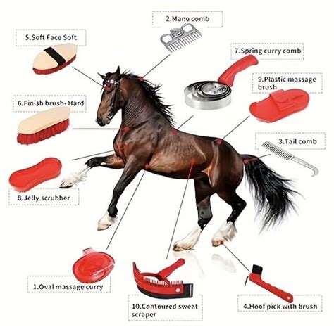 Cheval étant pansé avec différentes brosses