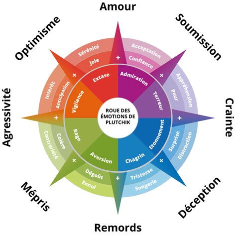 Diagramme montrant le flux d'émotions entre un humain et son animal