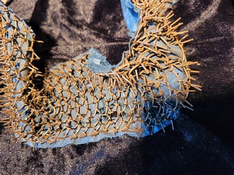 Illustration ancienne d'un ermite portant un cilice