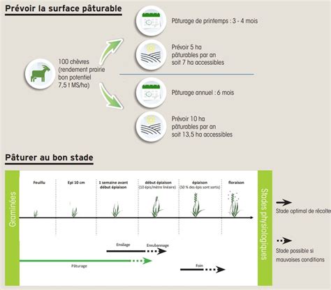 Schéma du pâturage tournant pour la gestion parasitaire