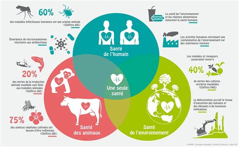 Diagramme illustrant les liens entre différents indicateurs de santé et l'exposition industrielle