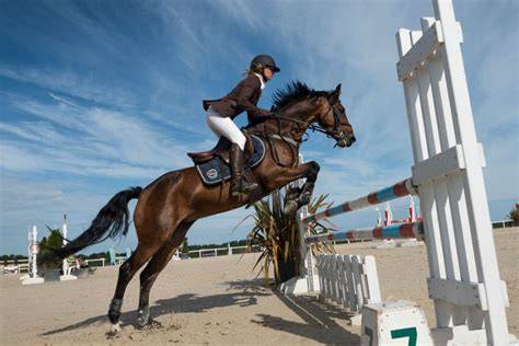 Portrait de Cayman Jolly Jumper sur un terrain de saut d'obstacles