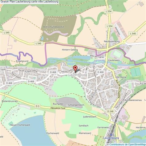 Carte de Lauterbourg et de ses environs