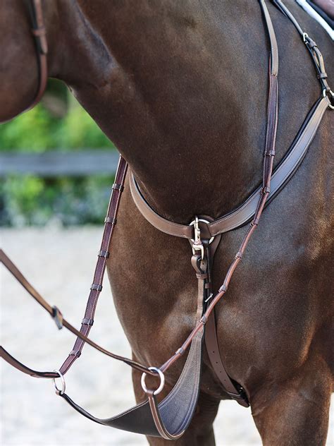 Cavalier tenant des rênes avec arrêtoirs