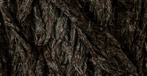 Gros plan sur la texture d'une rêne antiglisse