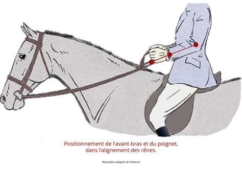 Schéma illustrant la position des arrêtoirs sur les rênes et leur impact sur la longueur